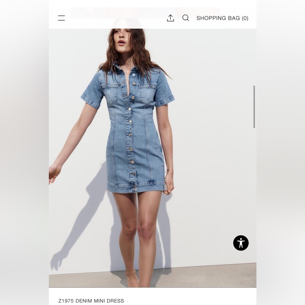 Zara Denim Dress